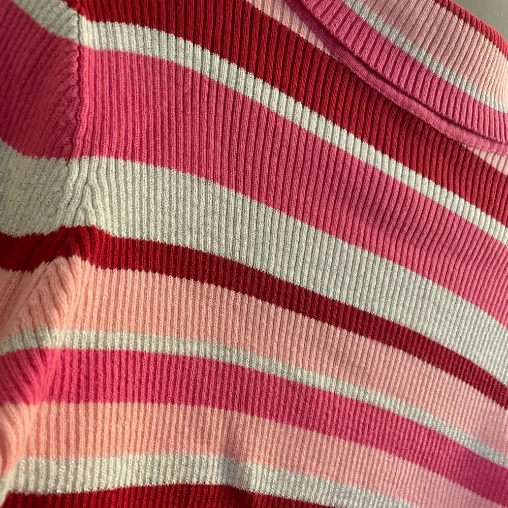 🐠2/$20 greendog Striped Turtleneck Sweater